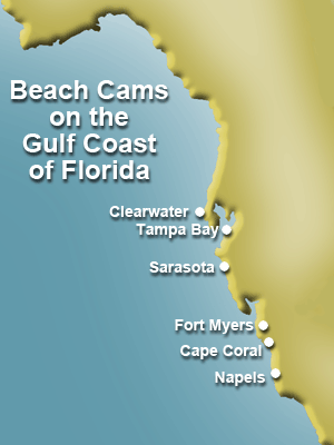Gulf Coast Florida Map 