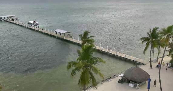 Live Cheeca Lodge & Spa Islamorada Webcam