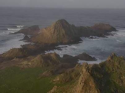 Farallon Islands Live Cam, California