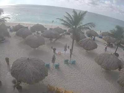 Live Eagle Beach Cam, Aruba