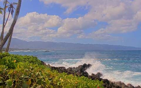 North Shore of Oahu, Hawaii in 4K