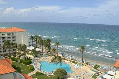 Palm Beach Earth Cam