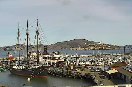 South End Rowing Club Cam, San Francisco