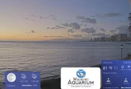 Waikiki Aquarium Webcam in Oahu